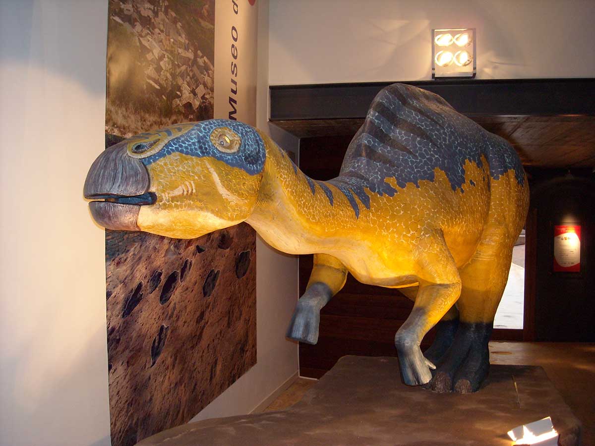 museo-dinosaurios-casa-bernat
